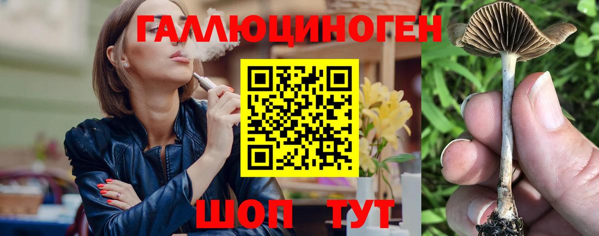 Псилоцибиновые грибы Magic Shrooms  Вход с VPN  Тайшет 